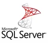 SQL Server development